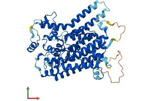 Protein Structure (PS) image for Phosphatidylinositol Glycan Anchor Biosynthesis, Class V (PIGV) (AA 1-493) protein (His tag) (ABIN7558250)