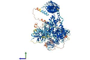 Protein Structure (PS) image for Death-Associated Protein Kinase 1 (DAPK1) (AA 1-1430) protein (His tag) (ABIN7553617)