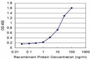 Detection limit for recombinant GST tagged SFRS6 is approximately 0. (SFRS6 Antikörper  (AA 1-75))