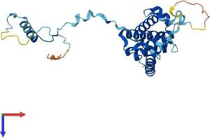 SIP1 Protein (AA 1-269) (His tag)