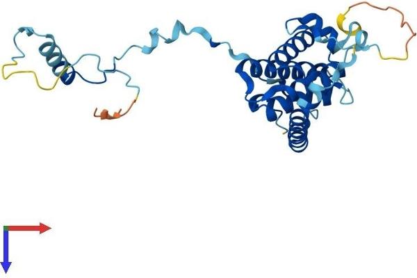 SIP1 Protein (AA 1-269) (His tag)