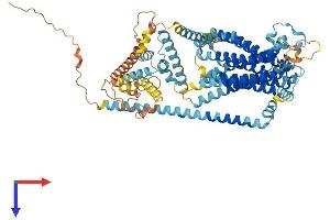 TMC6 Protein (AA 1-810) (His tag)