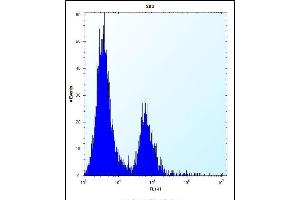 CA1 Antibody (N-term) (ABIN656574 and ABIN2845835) flow cytometric analysis of HE cells (right histogram) compared to a negative control cell (left histogram). (CA1 Antikörper  (N-Term))