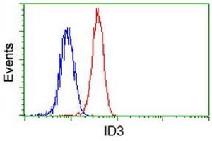 Image no. 2 for anti-Inhibitor of DNA Binding 3, Dominant Negative Helix-Loop-Helix Protein (ID3) antibody (ABIN1498780)