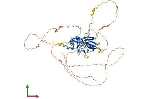 AlphaFold protein structure predicition of Mouse Recombinant Tbx21 Protein, UniprotID Q9JKD8 (T-Bet Protein (AA 1-530) (His tag))