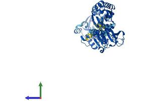 Protein Structure (PS) image for Ectonucleoside Triphosphate diphosphohydrolase 2 (ENTPD2) (AA 1-495) protein (His tag) (ABIN7547451)