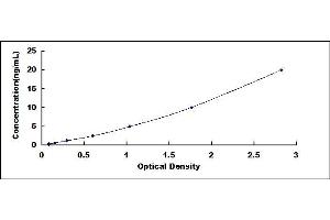 Typical standard curve (ALDH1L1 ELISA Kit)