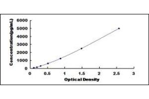 PDGFRL ELISA Kit