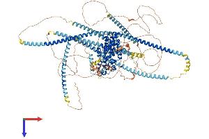 LIPA3 Protein (AA 1-1194) (His tag)