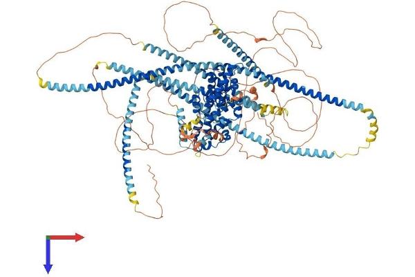 LIPA3 Protein (AA 1-1194) (His tag)