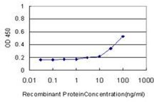 Detection limit for recombinant GST tagged SOD3 is approximately 10ng/ml as a capture antibody. (SOD3 Antikörper  (AA 26-125))