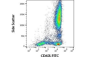 Flow cytometry surface staining pattern of human peripheral whole blood stained using anti-human CD62L (LT-TD180) FITC antibody (20 μL reagent / 100 μL of peripheral whole blood). (L-Selectin Antikörper  (FITC))