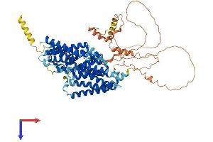 SLC20A1 Protein (AA 1-681) (His tag)