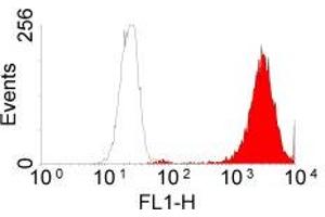 Flow Cytometry (FACS) image for anti-Epidermal Growth Factor Receptor (EGFR) (Extracellular Domain) antibody (ABIN211610) (EGFR Antikörper  (Extracellular Domain))