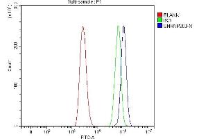 Flow Cytometry analysis of A431 cells using anti-SNRNP200 antibody (ABIN7602032). (SNRNP200 Antikörper  (AA 557-2129))