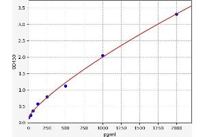 IRF3 ELISA Kit