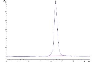 Size-exclusion chromatography-High Pressure Liquid Chromatography (SEC-HPLC) image for Glycophorin A (GYPA) (AA 20-91) protein (His tag) (ABIN7274763)