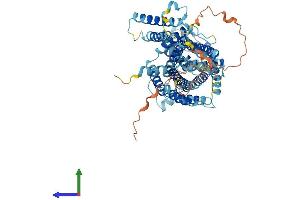Protein Structure (PS) image for Solute Carrier Family 7 (Cationic Amino Acid Transporter, Y+ System), Member 4 (SLC7A4) (AA 1-635) protein (His tag) (ABIN7546902)