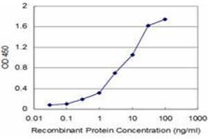 Detection limit for recombinant GST tagged USP9X is approximately 0. (USP9X Antikörper  (AA 1-90))