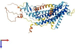 AlphaFold protein structure predicition of Mouse Recombinant Tmem39a Protein, UniprotID Q9CYC3