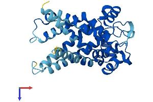 SLC25A5 Protein (AA 1-298) (His tag)