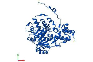 Protein Structure (PS) image for Alanine Glyoxylate Aminotransferase (AGXT) (AA 1-392) protein (His tag) (ABIN7546438)