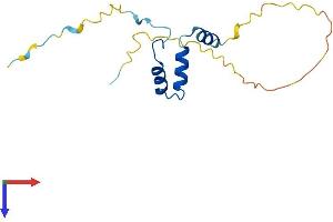 AVPI1 Protein (AA 1-142) (His tag)