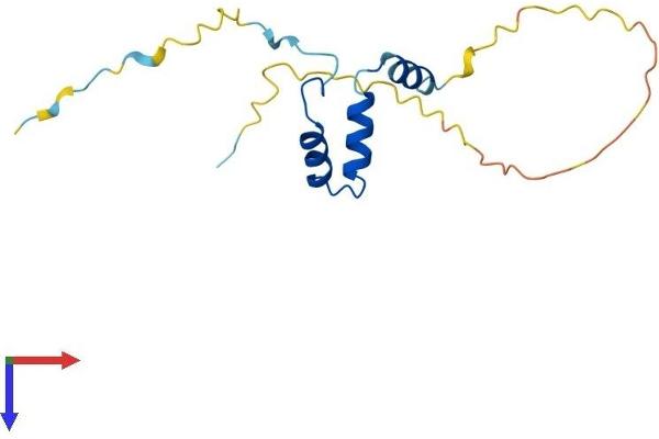 AVPI1 Protein (AA 1-142) (His tag)