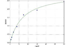A typical standard curve