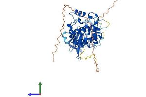 Protein Structure (PS) image for serine/threonine Kinase 17b (STK17B) (AA 1-372) protein (His tag) (ABIN7546468)