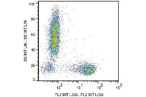 Flow Cytometry analysis  Surface staining of human peripheral blood cells with anti-human CD27 (LT27) PE. (CD27 Antikörper  (PE-DyLight 594))