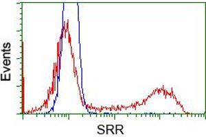 Flow Cytometry (FACS) image for anti-Serine Racemase (SRR) antibody (ABIN1501134) (SRR Antikörper)