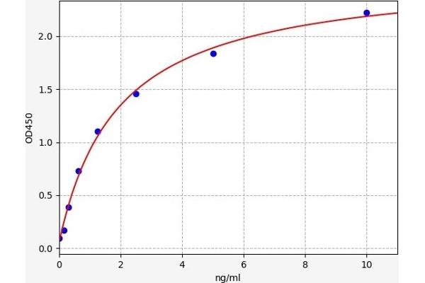 S100A1 ELISA Kit