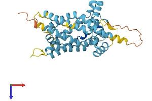 SLC25A18 Protein (AA 1-320) (His tag)