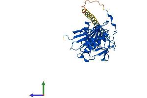 AlphaFold protein structure predicition of Human Recombinant B4GALT4 Protein, UniprotID O60513