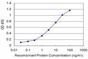 Detection limit for recombinant GST tagged RCV1 is approximately 0. (Recoverin Antikörper  (AA 101-199))
