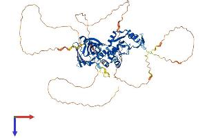 PIAS2 Protein (AA 1-621) (His tag)