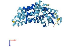 SFXN2 Protein (AA 1-322) (His tag)
