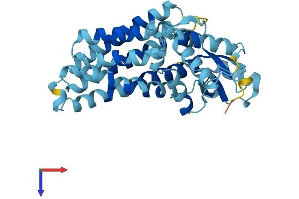 SFXN2 Protein (AA 1-322) (His tag)