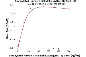 Immobilized Human IL-6, Tag Free (ABIN2181322,ABIN3071739) at 5 μg/mL (100 μL/well) can bind Biotinylated Human IL-6 R alpha, Avitag,His Tag (ABIN5526620,ABIN5526621) with a linear range of 4-125 ng/mL (QC tested).