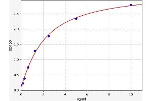 Angiopoietin 4 ELISA Kit