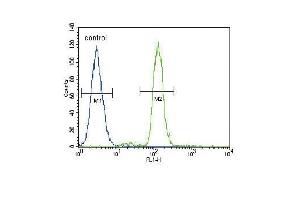 CD14 Antibody (C-term) (ABIN390261 and ABIN2840719) flow cytometric analysis of A549 cells (right histogram) compared to a negative control cell (left histogram). (CD14 Antikörper  (C-Term))