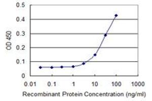 ELISA image for anti-Tubulin, beta (TUBB) (AA 1-445) antibody (ABIN599619) (TUBB Antikörper  (AA 1-445))