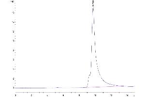 The purity of Human ASPH is greater than 95 % as determined by SEC-HPLC. (Aspartate beta Hydroxylase Protein (AA 341-758) (His tag))