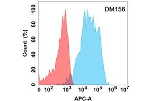 Flow cytometry analysis with Anti-CD200 (DM156) on Expi293 cells transfected with human CD200 (Blue histogram) or Expi293 transfected with irrelevant protein (Red histogram).