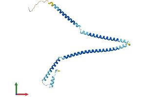 Protein Structure (PS) image for Centromere Protein H (CENPH) (AA 1-241) protein (His tag) (ABIN7561799)