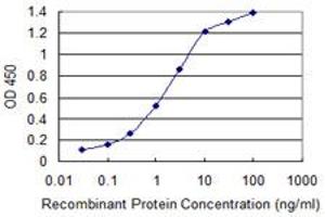 Detection limit for recombinant GST tagged TBL1XR1 is 0. (TBL1XR1 Antikörper  (AA 81-178))