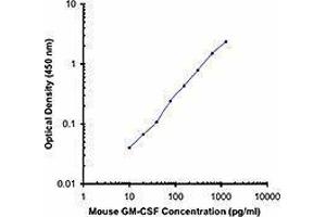 ELISA image for anti-Colony Stimulating Factor 2 (Granulocyte-Macrophage) (CSF2) antibody (Biotin) (ABIN2661168) (GM-CSF Antikörper  (Biotin))