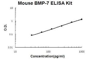 Mouse BMP-7 PicoKine ELISA Kit standard curve (BMP7 ELISA Kit)