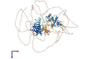 PSD3 Protein (AA 1-1048) (His tag)
